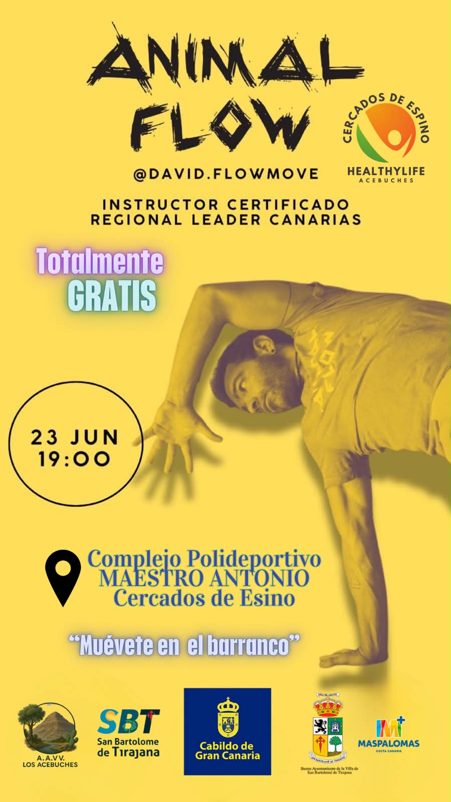 Taller de Animal Flow